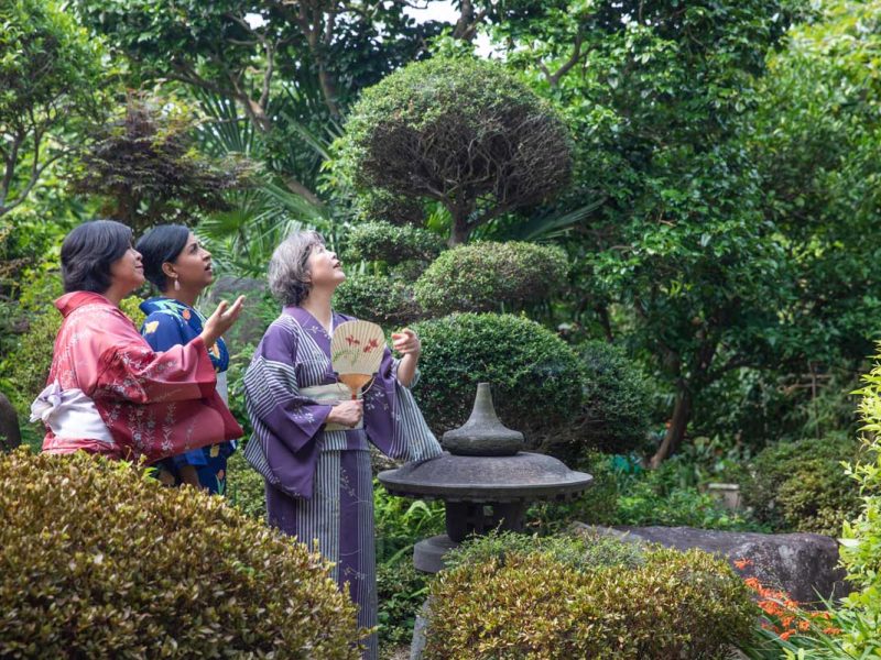 guests wearing Japanese kimono at Hagi homestay
