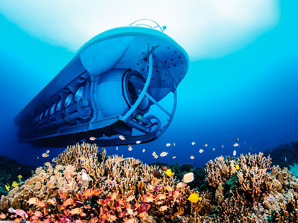 Atlantis Adventures Maui