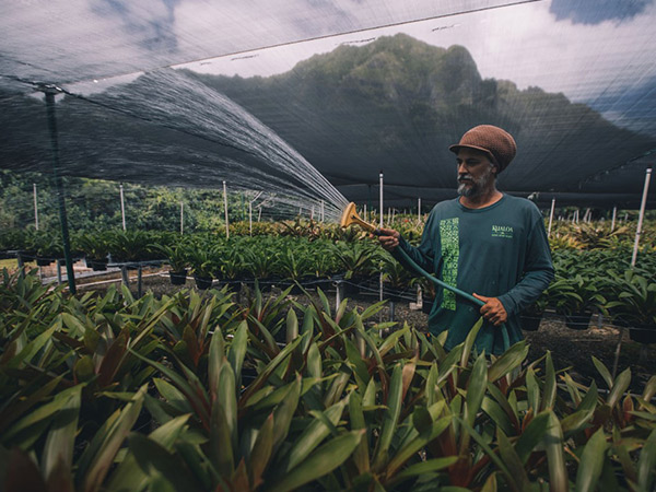 Kualoa Ranch Hawai'i farm tours