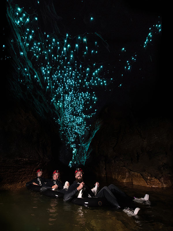 glow worms at Caveworld Waitomo, New Zealand