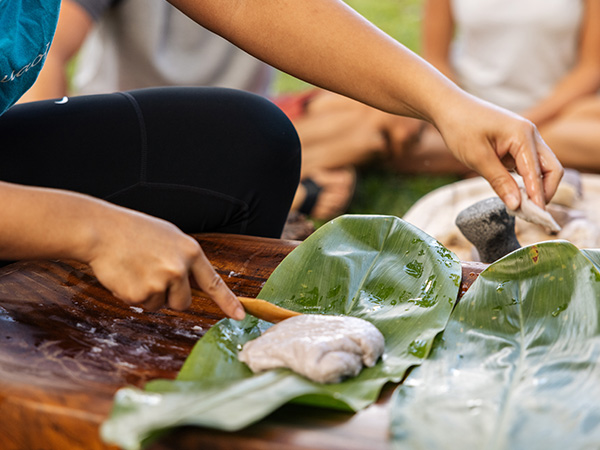 Pa‘i‘ai is wrapped in lū’au (taro leaves) to cook.