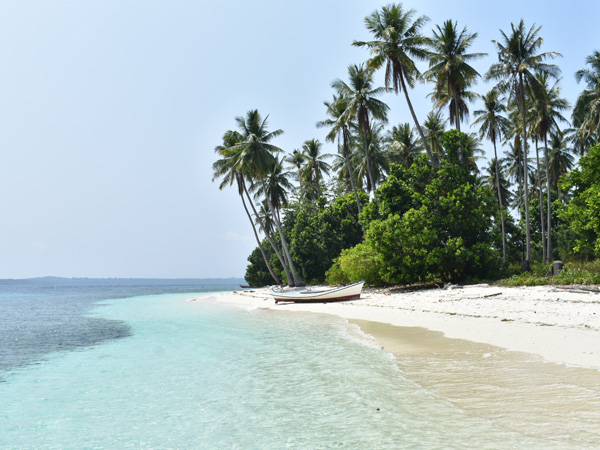 Caribbean blue water background on a white sand beach in Bohol