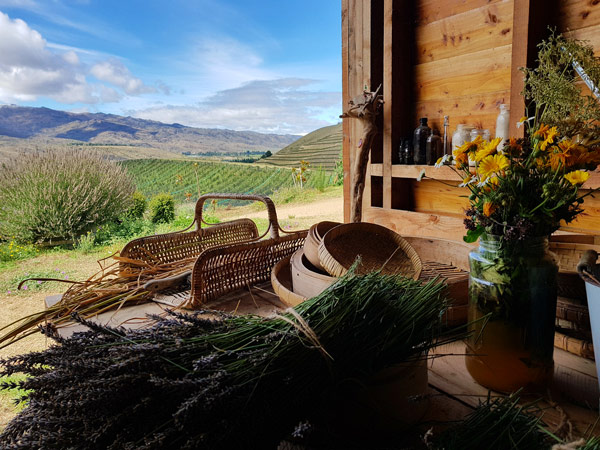 Domaine-Thomson prep shed in Central Otago in New Zealand