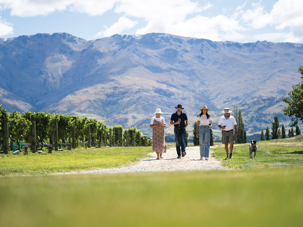 People and dog walking through Mondillo vineyard in Central Otago New Zealand