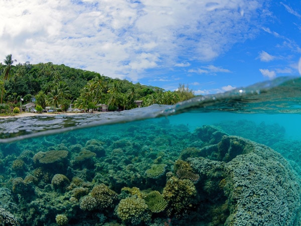 clear green waters in Tahiti