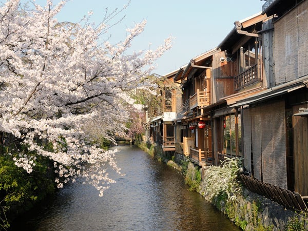 How To Spend 48 Hours In Kyoto - International Traveller