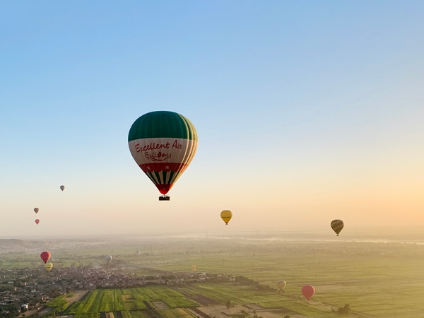 hot air balloons rising above sugarcane fields