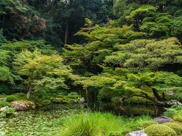 How To Spend 48 Hours In Kyoto - International Traveller