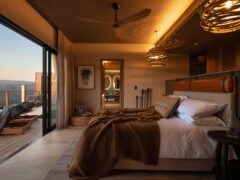 Mantis Hiddn in Addo, South Africa