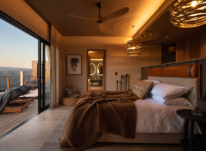 Mantis Hiddn in Addo, South Africa