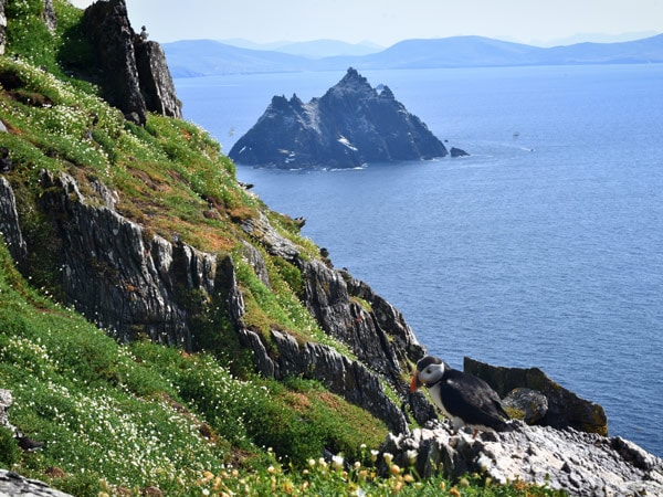 a rocky cliffside at Skellig Michael, Ireland