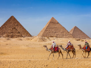 Bedouins riding on camels at The Great Pyramid of Giza in Egypt