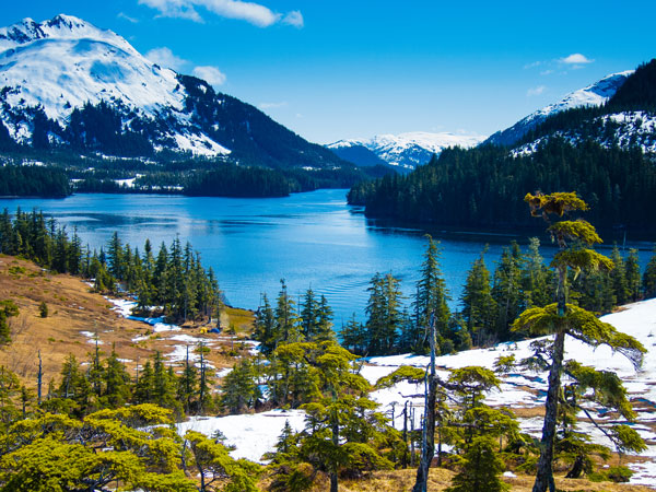 a scenic landscape in Alaska