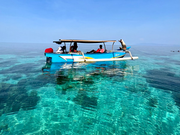 a boat sailing across the crystal clear waters in Beloi, Ataúro Island