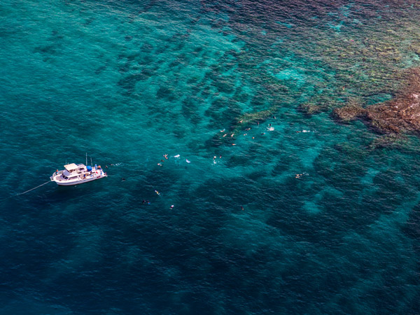 snorkelling in Maui’s reef