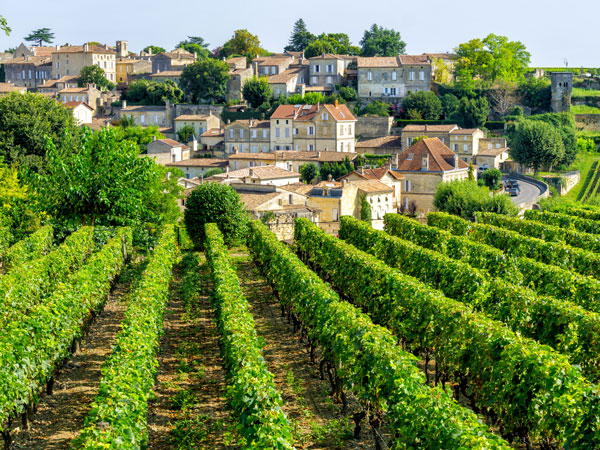 lush vineyards in Saint-Émilion, Bordeaux