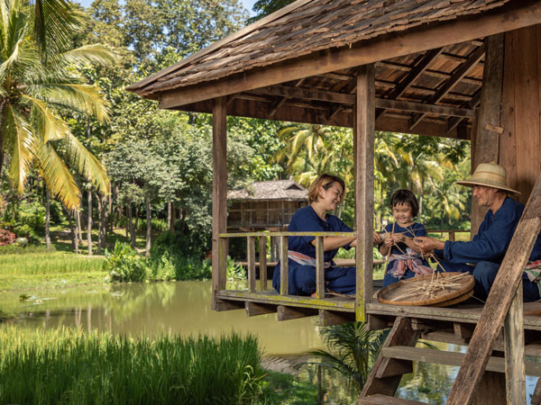 a local farmer showing guests their rice growing practices at Four Seasons Resort Chiang Mai