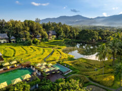 an aerial view of the surrounding rice paddies at Four Seasons Resort Chiang Mai
