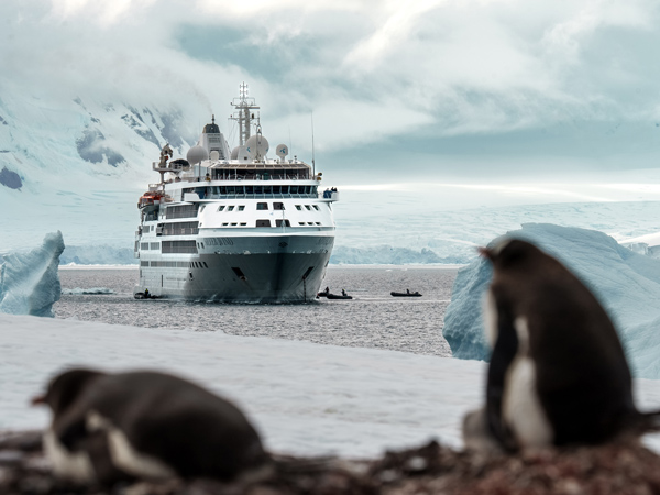 the Silversea approaching penguins in Antarctica