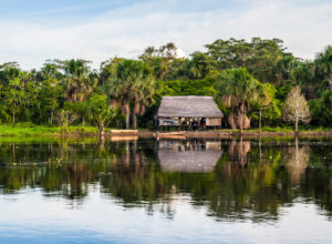 a thatched house by the Amazon River