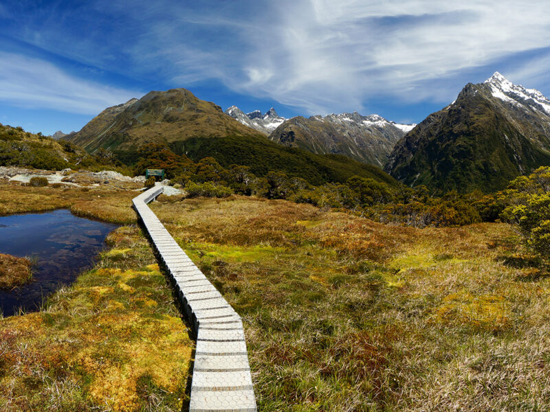 Pathway to Key Summit on Routeburn Track, Fiordland National Park, NZ