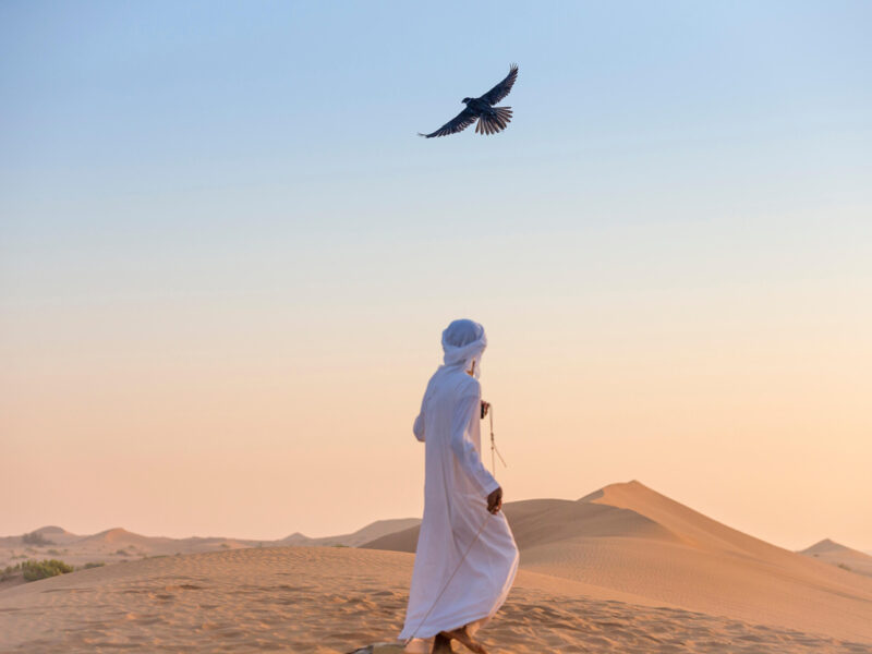 Falconry remains a traditional Emirati sport.