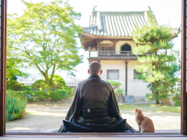 a Koyasan monk sitting beside a cat