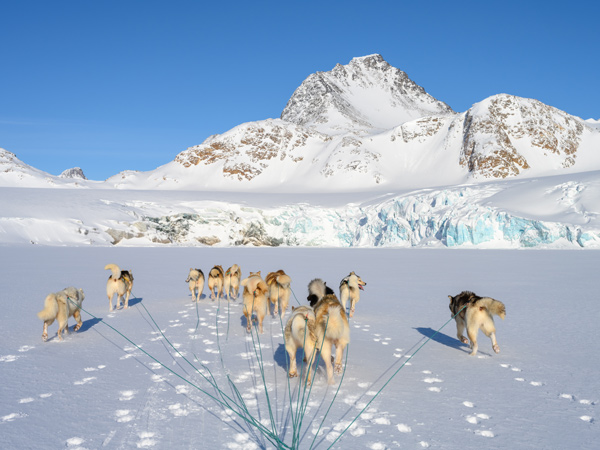 dog sleds in Kullorsuaq