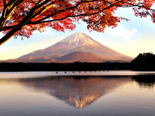 Mt Fuji in Autumn