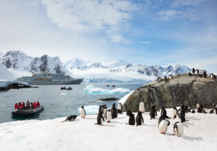 a silversea expiditions takes guests to penguins in antarctica
