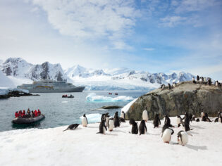 a silversea expiditions takes guests to penguins in antarctica