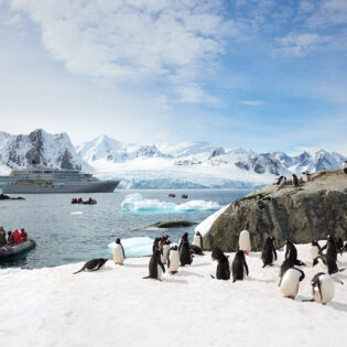 a silversea expiditions takes guests to penguins in antarctica