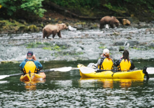 People on kayaks watching the bears in their natural habbitat in Alaska