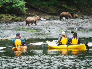 People on kayaks watching the bears in their natural habbitat in Alaska