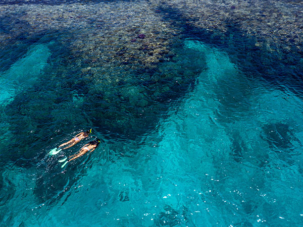 guests snorkelling at Sheraton Resort & Spa, Tokoriki Island