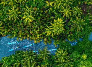 kayakers on Borocay Island