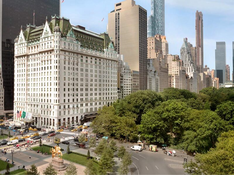 The Plaza view from Central Park