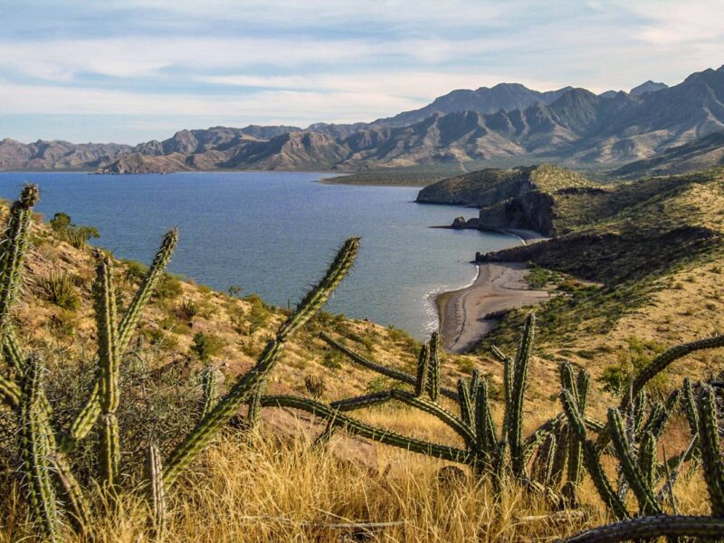 UnCruise Adventures Baja California tour