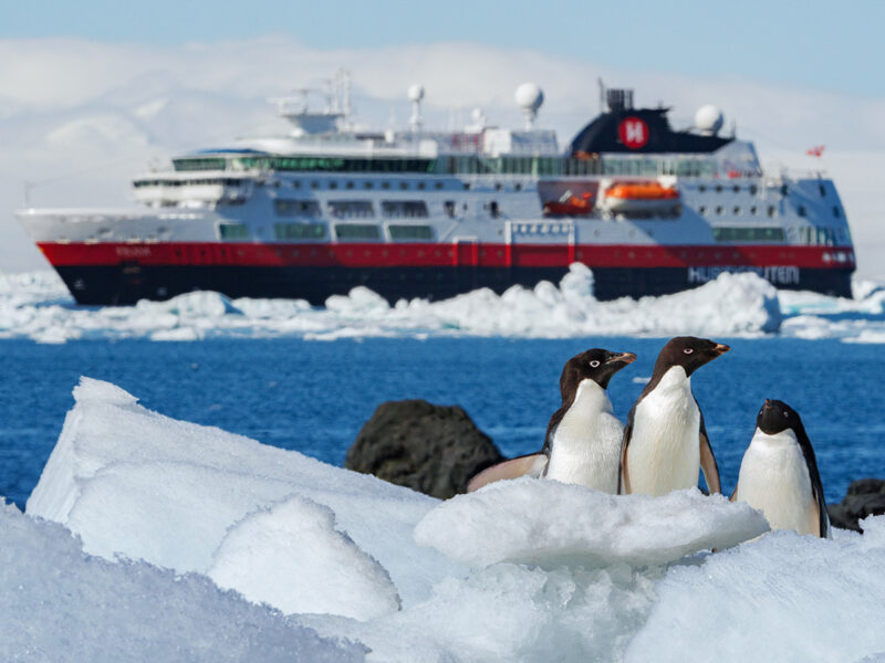 3 penguins in Antarctica with a Hurtigruten Expeditions cruise in the background.