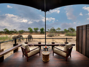 elephants grazing outside andBeyond Ngala Tented Camp wellness spa