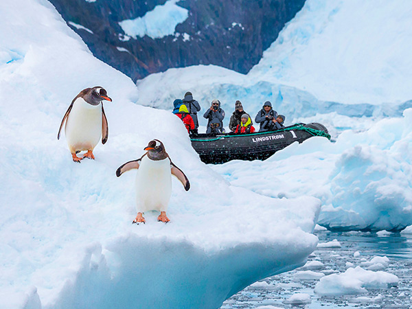 hx expeditions excursion in Antarctica Neko Harbour