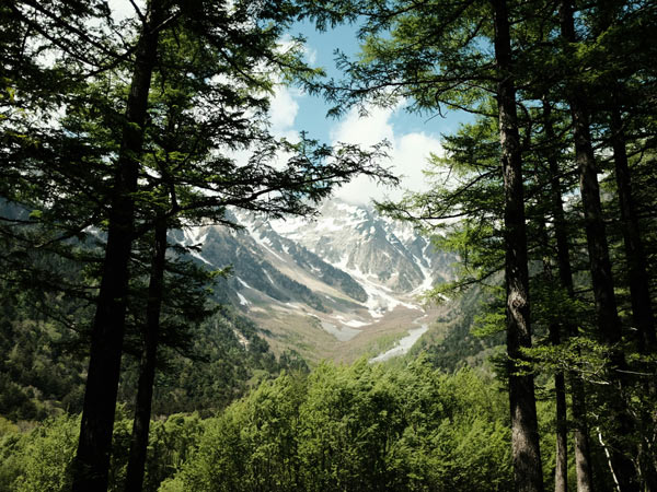 a view of a snowy mountain through the trees in Kamikochi, Japan