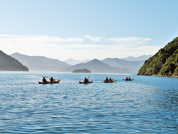 A group of kayakers paddle in unison across calm waters, surrounded by stunning natural scenery.