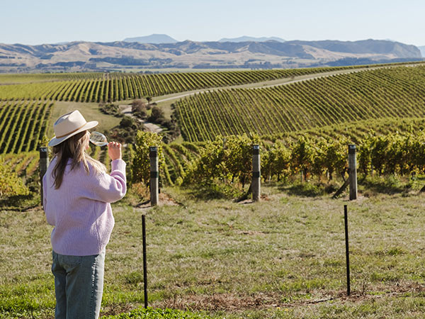 woman drinking wint at a vineyard in marlborough