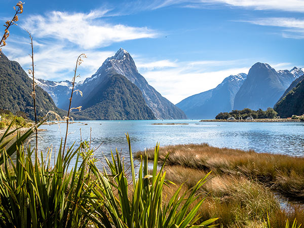 A classic picture of the famous Milford Sound in New Zealand. See it with Norwegian Cruise Line.