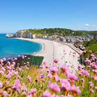 normandy beaches with pink flowers in foreground