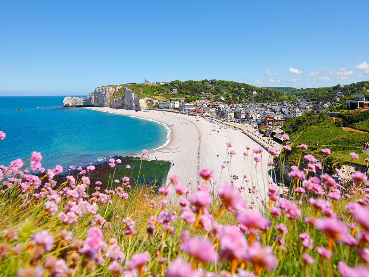 normandy beaches with pink flowers in foreground