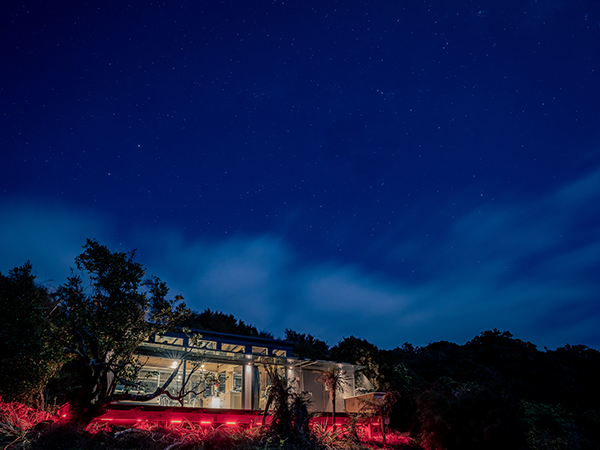 Tokoeka PurePod sits behind a predator-proof fence. Its lower deck is softly illuminated with red lighting, designed to let you quietly observe these elusive birds in their natural habitat