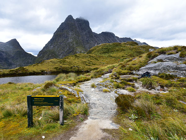 milford track