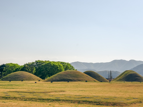 tumuli tombs in Gyeongju, Daereungwon